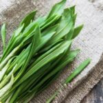 Чому заборонена черемша