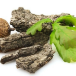 кора дуба від проносу