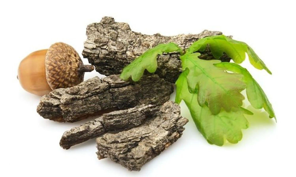 Кора дуба від проносу: потужний натуральний засіб для швидкого полегшення