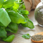користь базиліку