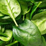 користь шпинату