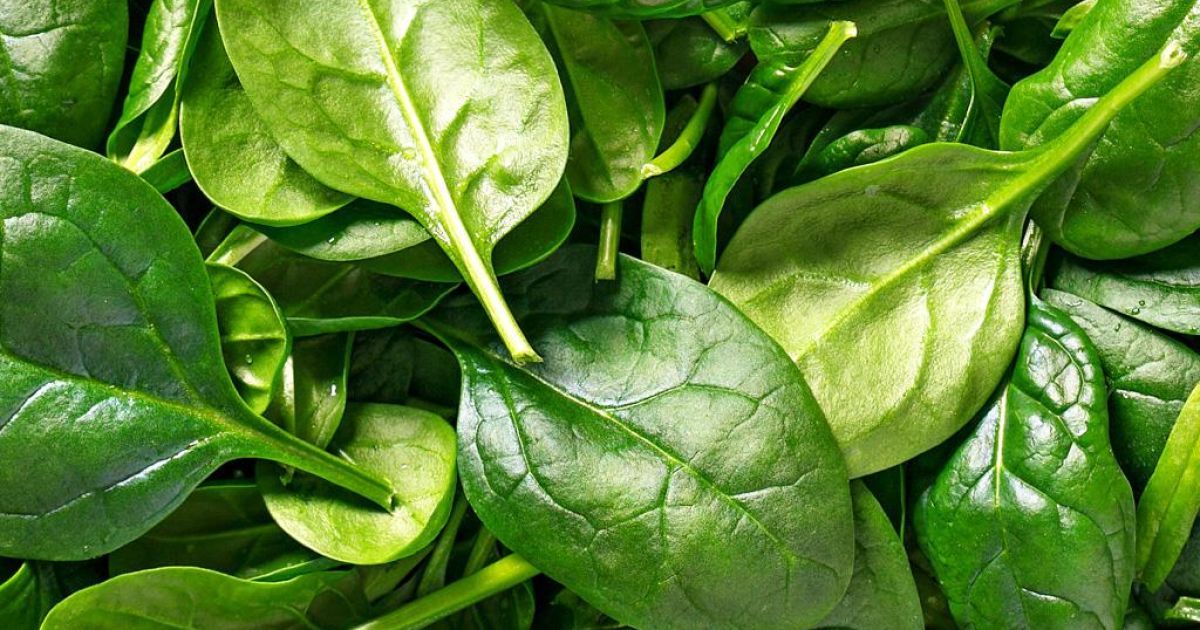 користь шпинату