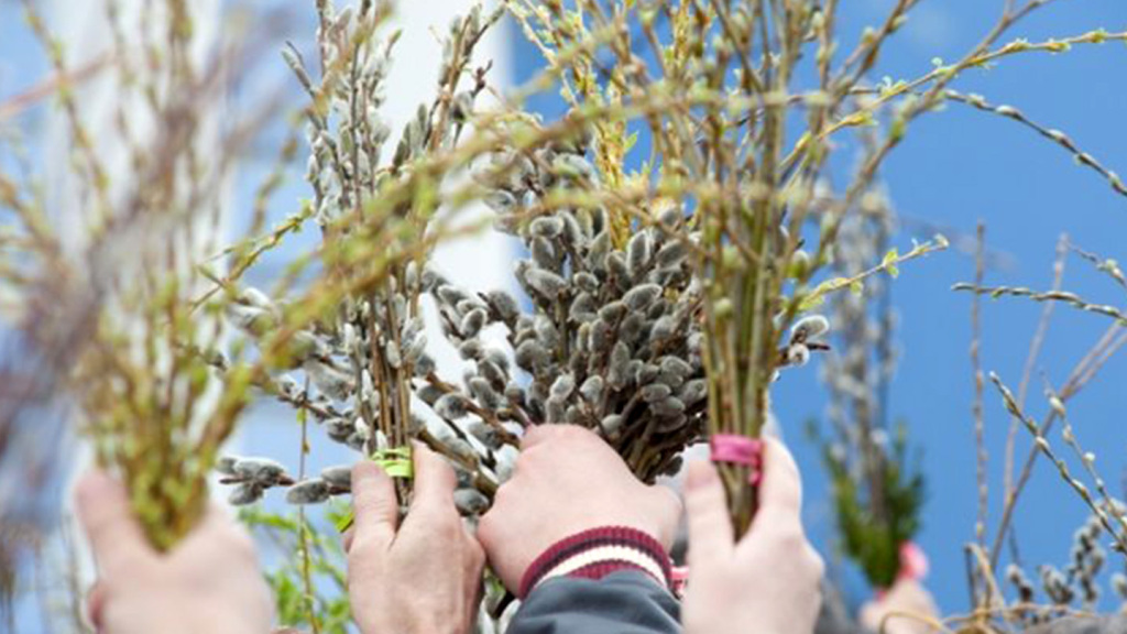 Що не можна робити у Вербну неділю: заборони, традиції та сенс свята