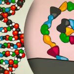 що таке генетичний код