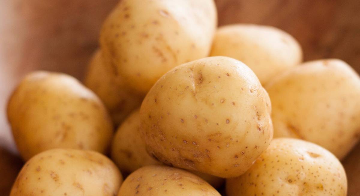 Сік картоплі що лікує: натуральний еліксир для шлунка, шкіри та всього організму