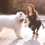 українські породи собак